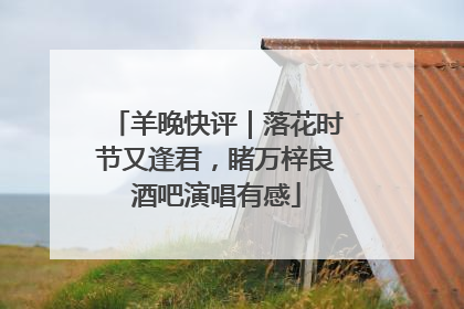 羊晚快评｜落花时节又逢君，睹万梓良酒吧演唱有感