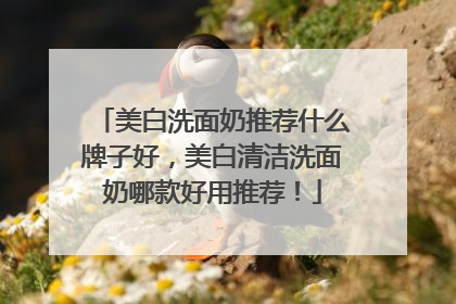 美白洗面奶推荐什么牌子好，美白清洁洗面奶哪款好用推荐！