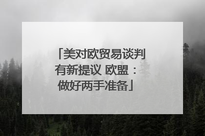 美对欧贸易谈判有新提议 欧盟：做好两手准备