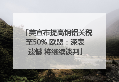 美宣布提高钢铝关税至50% 欧盟：深表遗憾 将继续谈判