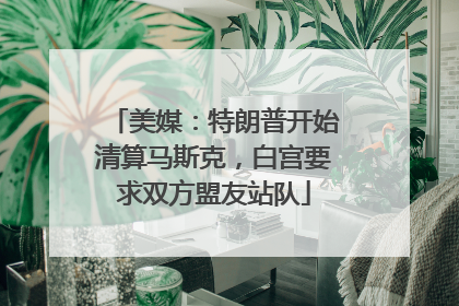 美媒：特朗普开始清算马斯克，白宫要求双方盟友站队