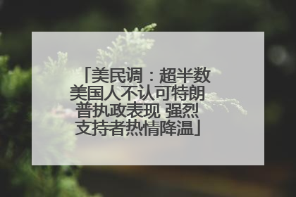 美民调：超半数美国人不认可特朗普执政表现 强烈支持者热情降温