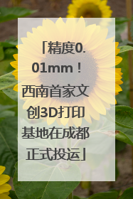 精度0.01mm！西南首家文创3D打印基地在成都正式投运