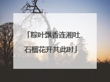 粽叶飘香连湘吐 石榴花开共此时