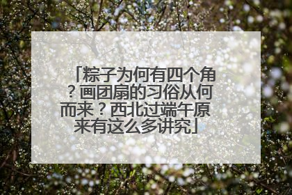 粽子为何有四个角？画团扇的习俗从何而来？西北过端午原来有这么多讲究