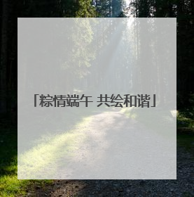 粽情端午 共绘和谐