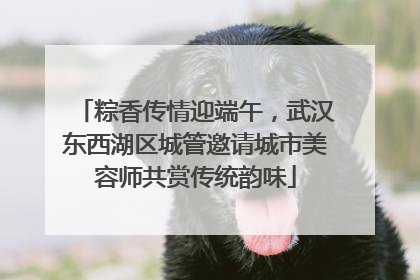 粽香传情迎端午，武汉东西湖区城管邀请城市美容师共赏传统韵味