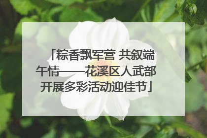 粽香飘军营 共叙端午情——花溪区人武部开展多彩活动迎佳节