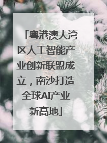 粤港澳大湾区人工智能产业创新联盟成立，南沙打造全球AI产业新高地