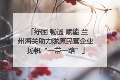 纾困 畅通 赋能 兰州海关助力陇原民营企业扬帆“一带一路”