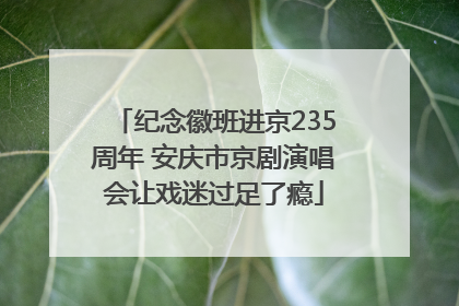 纪念徽班进京235周年 安庆市京剧演唱会让戏迷过足了瘾
