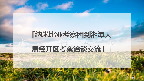 纳米比亚考察团到湘潭天易经开区考察洽谈交流