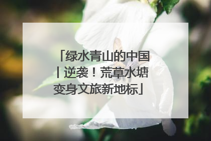 绿水青山的中国丨逆袭！荒草水塘变身文旅新地标
