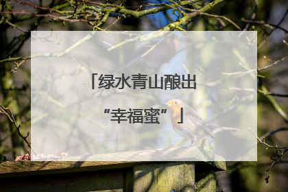 绿水青山酿出“幸福蜜”