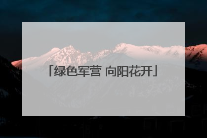绿色军营 向阳花开