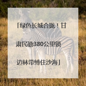 绿色长城合拢！甘肃民勤380公里锁边林带缚住沙海