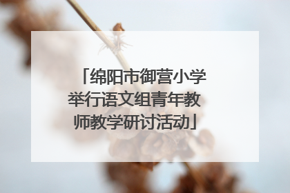 绵阳市御营小学举行语文组青年教师教学研讨活动