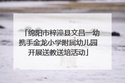 绵阳市梓潼县文昌一幼携手金龙小学附属幼儿园开展送教送培活动