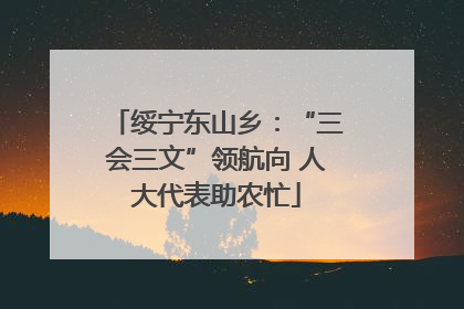 绥宁东山乡：“三会三文”领航向 人大代表助农忙