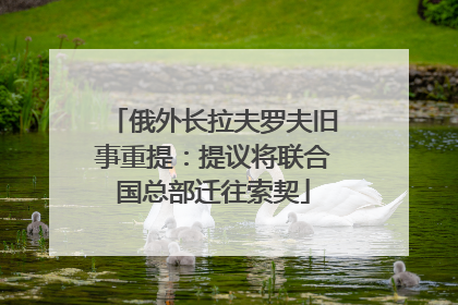 俄外长拉夫罗夫旧事重提：提议将联合国总部迁往索契