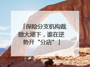 保险分支机构裁撤大潮下，谁在逆势开“分店”