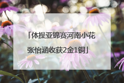 体操亚锦赛河南小花张怡涵收获2金1铜