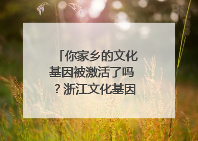 你家乡的文化基因被激活了吗？浙江文化基因图谱即将上线