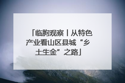 临朐观察丨从特色产业看山区县城“乡土生金”之路