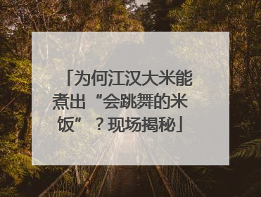 为何江汉大米能煮出“会跳舞的米饭”？现场揭秘