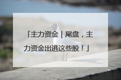 主力资金｜尾盘，主力资金出逃这些股！