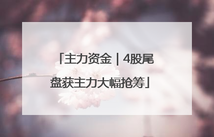 主力资金｜4股尾盘获主力大幅抢筹