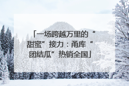一场跨越万里的“甜蜜”接力：甬库“团结瓜”热销全国