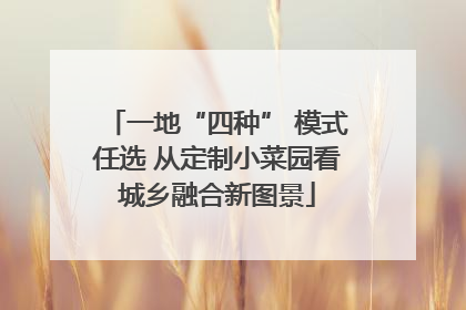 一地“四种” 模式任选 从定制小菜园看城乡融合新图景