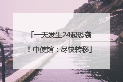 一天发生24起恐袭！中使馆：尽快转移