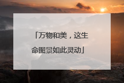 万物和美，这生命图景如此灵动