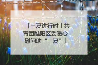 三夏进行时丨共青团睢阳区委暖心慰问助“三夏”