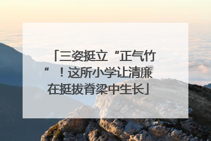 三姿挺立“正气竹”！这所小学让清廉在挺拔脊梁中生长
