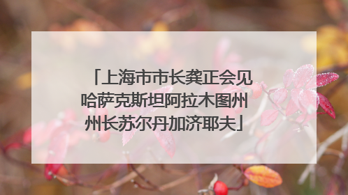 上海市市长龚正会见哈萨克斯坦阿拉木图州州长苏尔丹加济耶夫