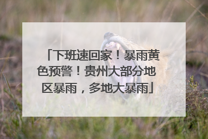 下班速回家！暴雨黄色预警！贵州大部分地区暴雨，多地大暴雨
