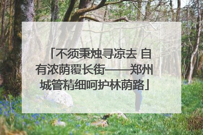 不须秉烛寻凉去 自有浓荫覆长街——郑州城管精细呵护林荫路