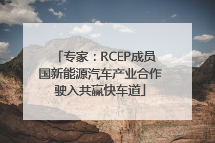 专家：RCEP成员国新能源汽车产业合作驶入共赢快车道