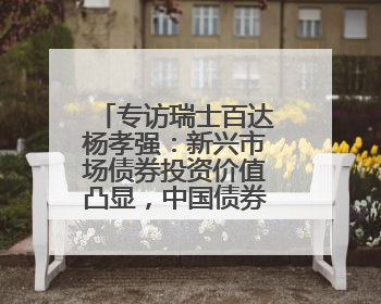 专访瑞士百达杨孝强：新兴市场债券投资价值凸显，中国债券适合作为“稳定器”