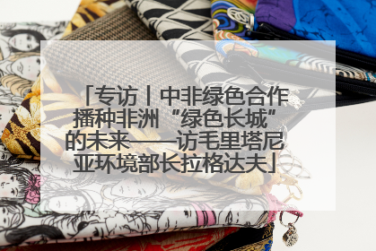 专访丨中非绿色合作播种非洲“绿色长城”的未来——访毛里塔尼亚环境部长拉格达夫