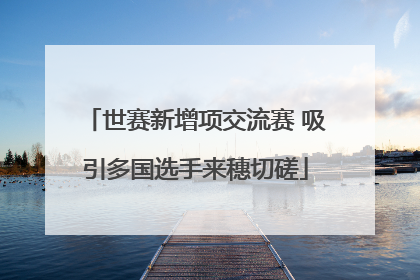 世赛新增项交流赛 吸引多国选手来穗切磋