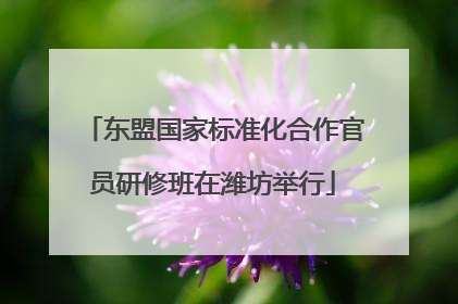 东盟国家标准化合作官员研修班在潍坊举行