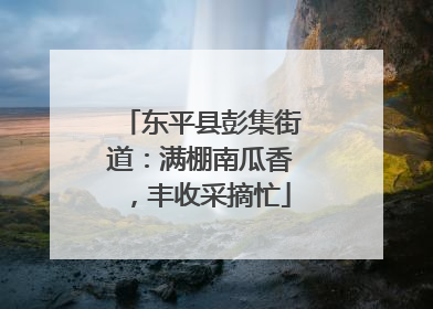 东平县彭集街道：满棚南瓜香，丰收采摘忙