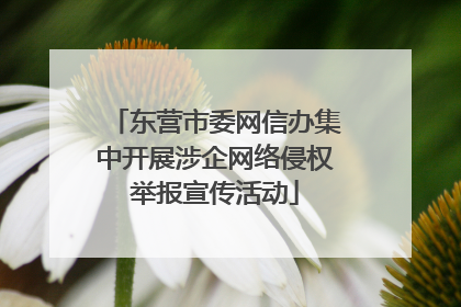 东营市委网信办集中开展涉企网络侵权举报宣传活动
