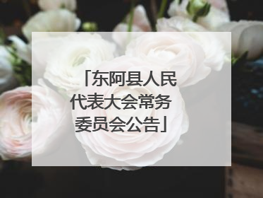 东阿县人民代表大会常务委员会公告