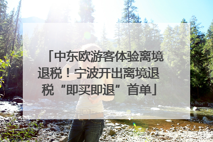 中东欧游客体验离境退税！宁波开出离境退税“即买即退”首单
