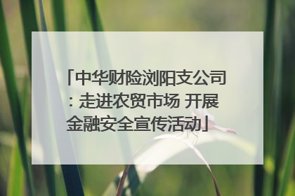 中华财险浏阳支公司：走进农贸市场 开展金融安全宣传活动